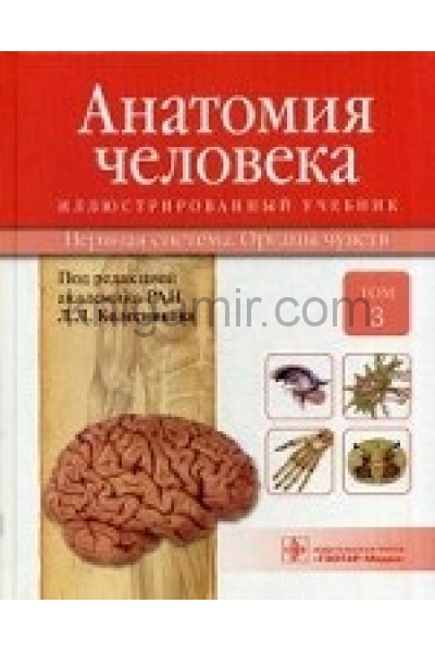 обложка Анатомия человека.Т.3-Нервная система.Органы чувств.Учебник в 3 томах от интернет-магазина Книгамир