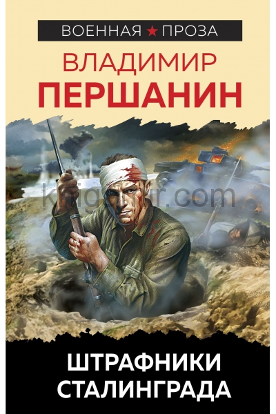 обложка Штрафники Сталинграда от интернет-магазина Книгамир