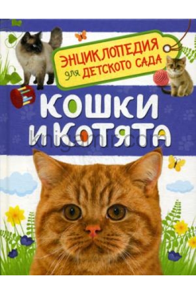 обложка Кошки и котята (Энциклопедия для детского сада) от интернет-магазина Книгамир