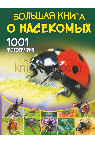 обложка Большая книга о насекомых. 1001 фотография от интернет-магазина Книгамир