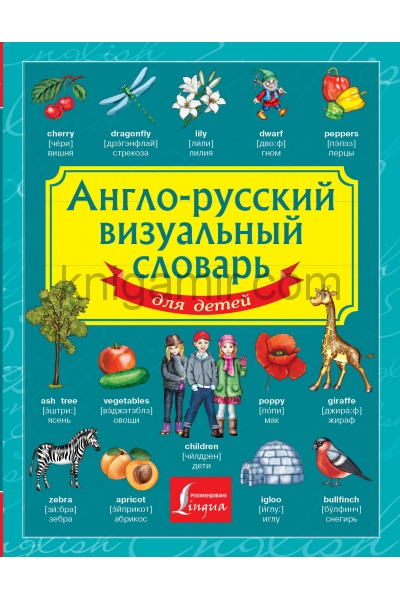 обложка Англо-русский визуальный словарь для детей от интернет-магазина Книгамир