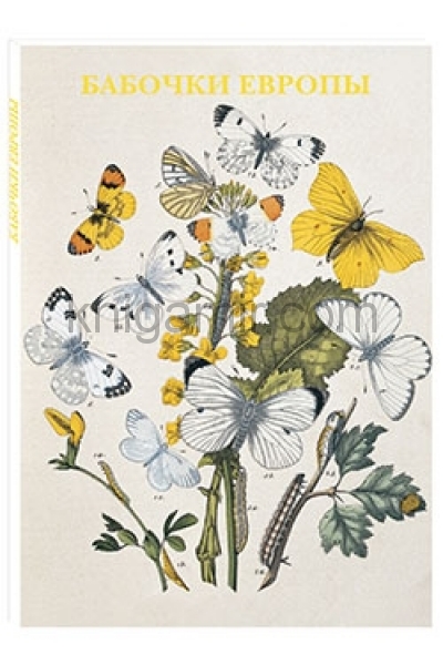 обложка Бабочки Европы от интернет-магазина Книгамир