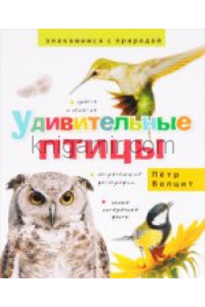 обложка Удивительные птицы от интернет-магазина Книгамир