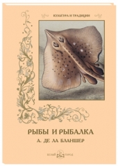 обложка Рыбы и рыбалка от интернет-магазина Книгамир