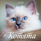 обложка Календарь с котятами на 2024 год. Переплет на скрепке (285*285 мм) 12 листов от интернет-магазина Книгамир